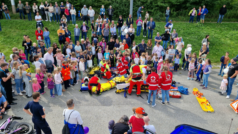 Bild 7